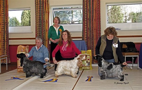 Best in Show Feb 2012