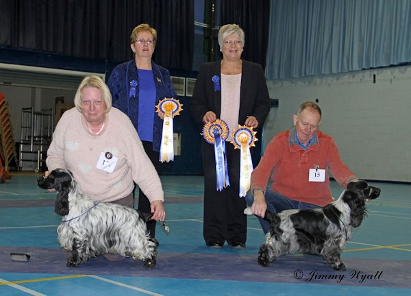 BIS Championship Show Feb 2015