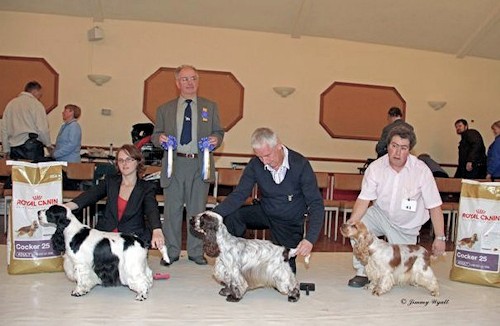 Best In Show November 2011