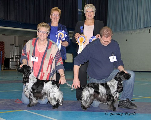BPIS Championship Show February 2015