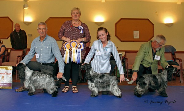 BPIS October 2014