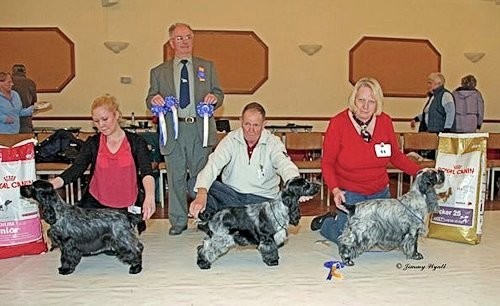 BPIS November 2011