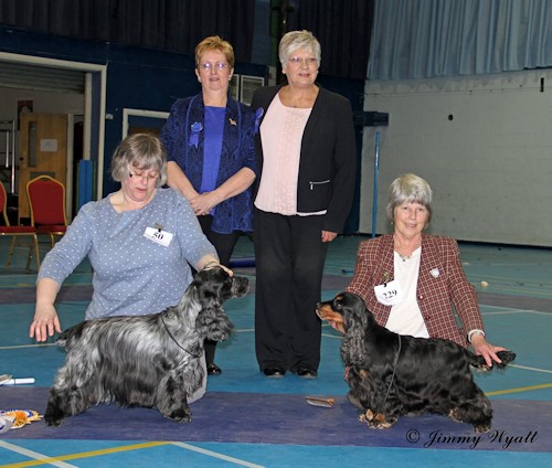 BVIS Championship Show 2015