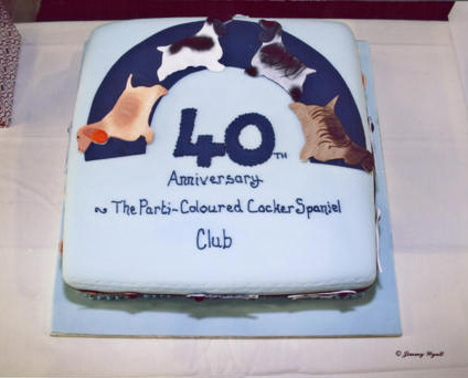 Anniversary Cake
