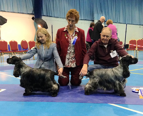 DCC & RDCC Ch Show 2019